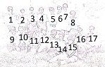 Identificados
